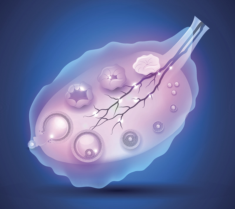 广州哪家医院能做试管婴儿(广州有哪家医院可以做试管)